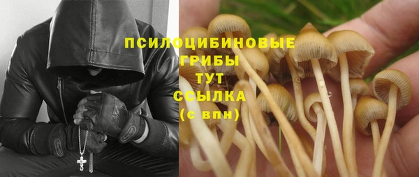 амф Алексин
