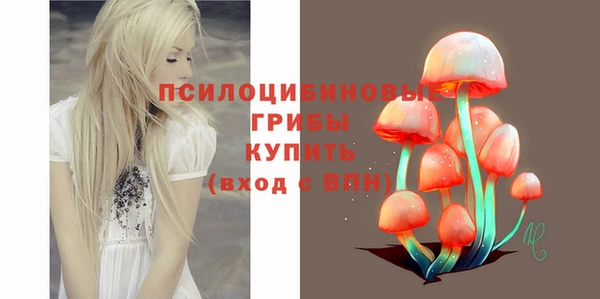 амф Алексин